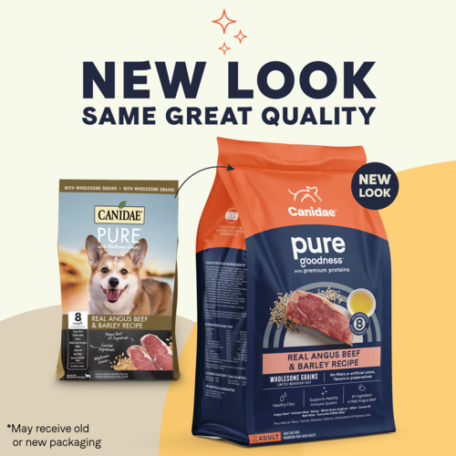 Canidae PURE with Wholesome Grains, Limited Ingredient Dry Dog Food, Beef and Barley (4 Lb.)