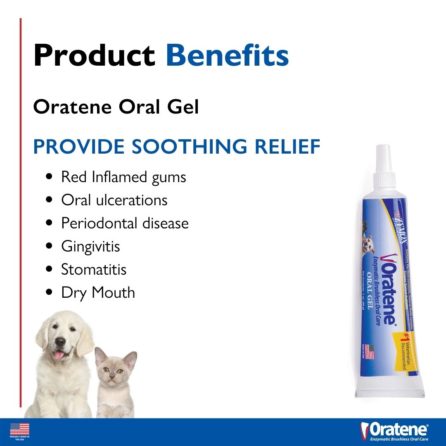 Zymox Oratene® Enzymatic Brushless Oral Gel (1-oz)