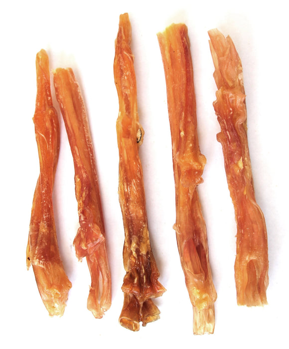 Natural Dog 9in Jumbo Beef Tendon