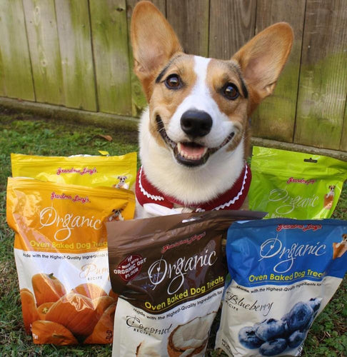 Grandma Lucy's Organic Oven Baked Pumpkin Flavor Dog Treats