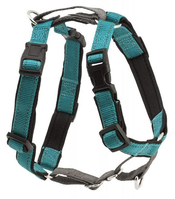 PetSafe 3 in 1 Teal Dog Harness