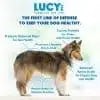 Lucy Pet Chicken, Brown Rice & Pumpkin Limited Ingredient Diet Formula Dog Food (25-lb Bag)