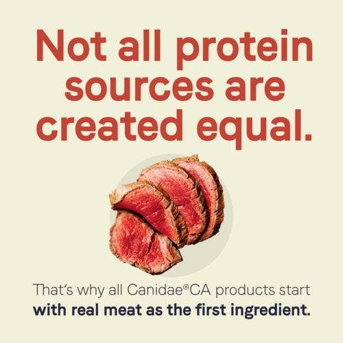 Canidae CA-40 High Protein with Real Beef Recipe