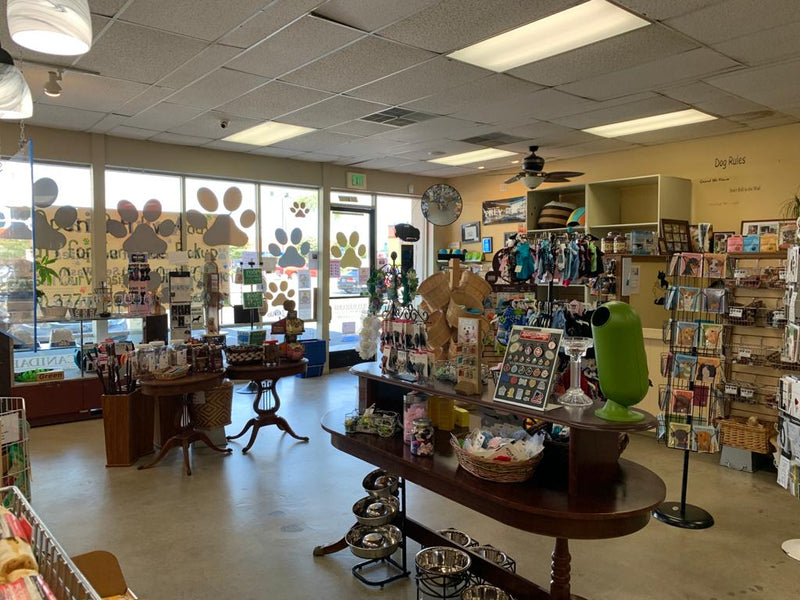 Inside of the Animalia Huntington Beach Location