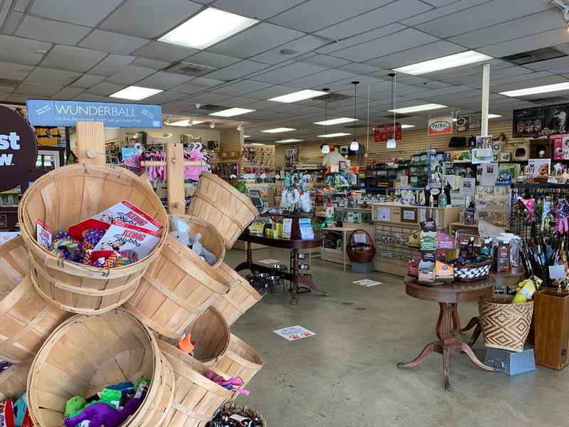 Inside of the Animalia Huntington Beach Location