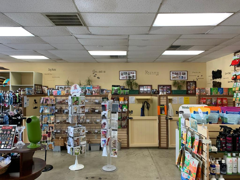 Inside of the Animalia Huntington Beach Location