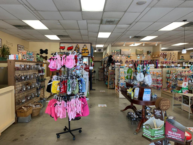 Inside of the Animalia Huntington Beach Location