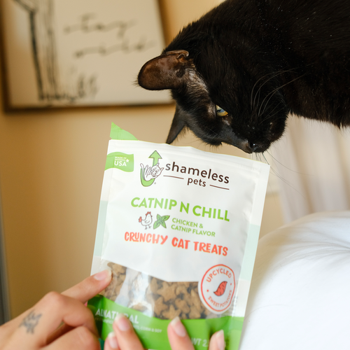 Shameless Pets Catnip N Chill Crunchy Cat Treats (2.5 oz Single)