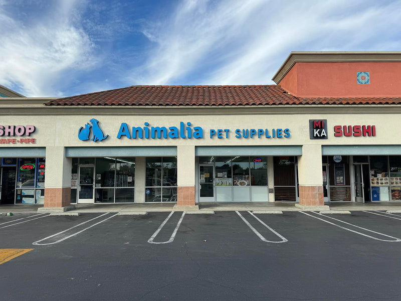 Inside of the Animalia Garden Grove Location