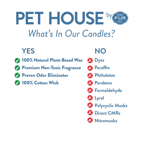 Pet House Pumpkin Spice Mini Candle (1.5 oz)