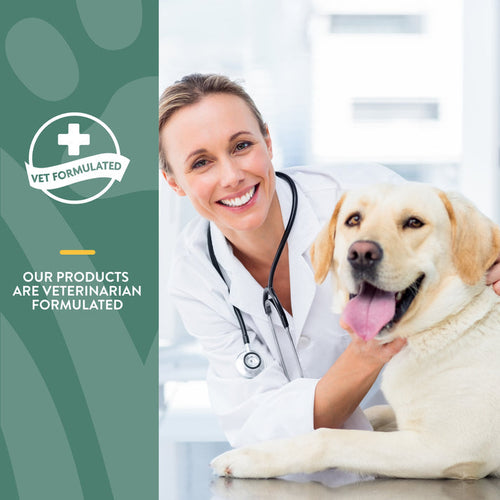 NaturVet Glucosamine DS™ Soft Chews