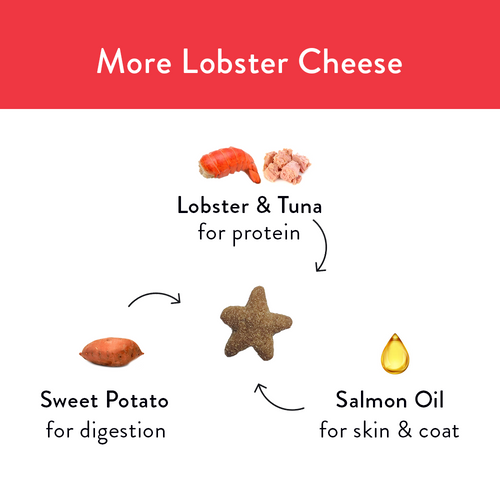 Shameless Pets More Lobster, Cheese Cat Treats (2.5 oz Single)