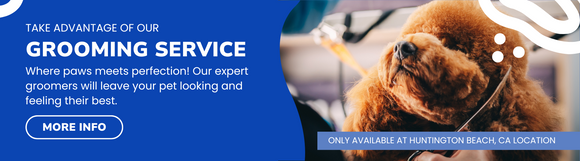 Take advantage of our grooming service - where paws meets perfection our expert groomers will leave your pet looking and feeling their best. More Info