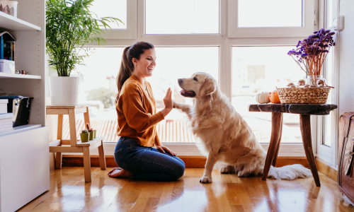 Woman high fiving dog