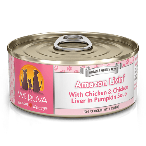 Weruva Amazon Livin' with Chicken & Chicken Liver in Pumpkin Soup Canned Dog Food (5.5-oz, single can)