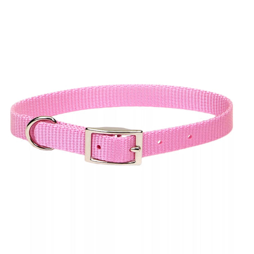 Coastal Pet Products Coastal Single-Ply Dog Collar Bright Pink 3/4 x 18 (3/4 x 18, Bright Pink)