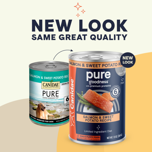 Canidae PURE Grain Free Limited Ingredient Salmon and Sweet Potato Recipe Wet Dog Food (13 oz, single can)