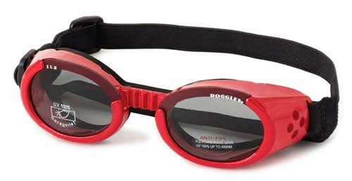 Doggles ILS Shiny Red Frame/Smoke Lens (Medium)