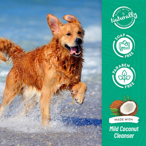 TropiClean Aloe & Coconut Deodorizing Shampoo for Pets (20 oz)