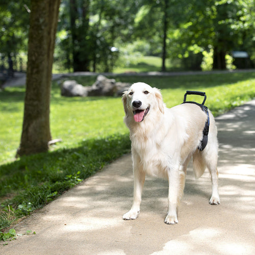 Petsafe CareLift™ Rear Support Harness