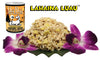 Tiki Dog Lahaina Luau Succulent Chicken on Brown Rice with Sweet Potato & Crab in a Crab Consomme Canned Dog Food