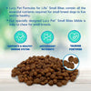 Lucy Pet Foods™ Grain-free Duck, Pumpkin & Quinoa Small Bites Dog Food
