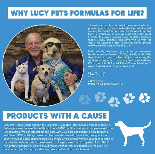 Chicken, Brown Rice & Pumpkin Limited Ingredient Diet Formula Dog Food Small Bite
