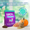 Chicken, Brown Rice & Pumpkin Limited Ingredient Diet Formula Dog Food Small Bite