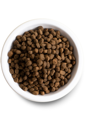 Open Farm Kind Earth Premium Plant Kibble Recipe Dry Dog Food