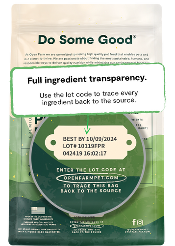 Open Farm Kind Earth Premium Plant Kibble Recipe Dry Dog Food