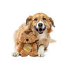 Guru Soft Scents Hedgehog Dog Toy