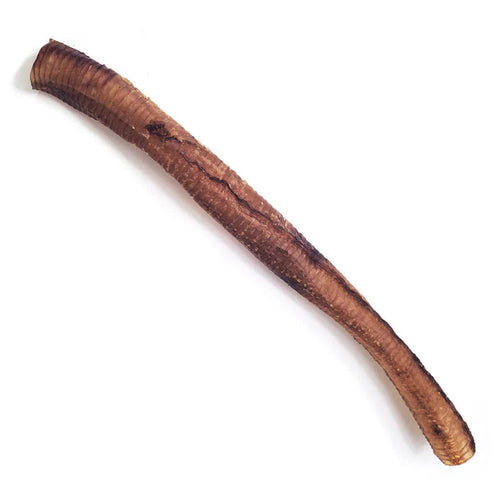 Tuesday's Natural Dog Company Ostrich Trachea (Bulk) Dog Treats