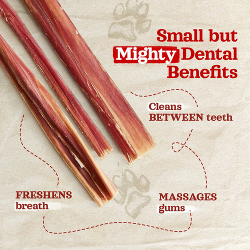 Natural Farm Pixie Bully Sticks Dog Treats