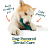 Woof The Bite n' Brush Dog Toy