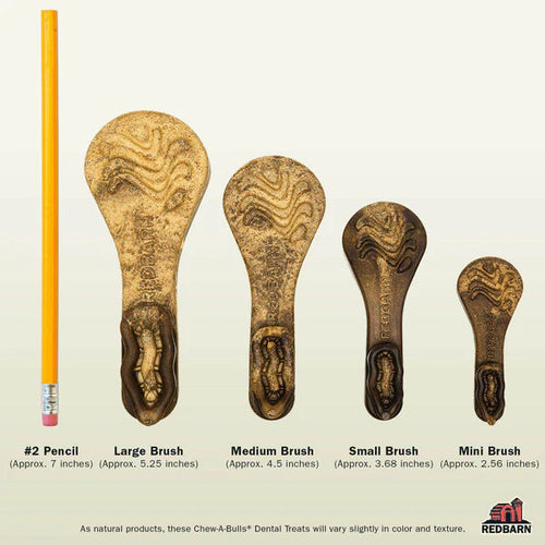 Redbarn Chew-A-Bulls® Brush