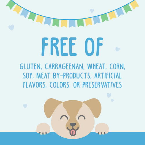 Weruva Chicken Formula in Gravy Wet Dog Food