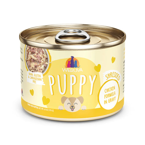 Weruva Chicken Formula in Gravy Wet Dog Food