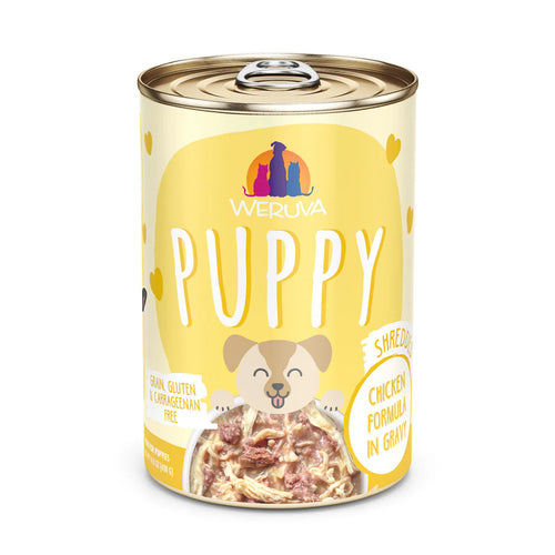 Weruva Chicken Formula in Gravy Wet Dog Food