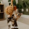Canophera Natural Cat Toys