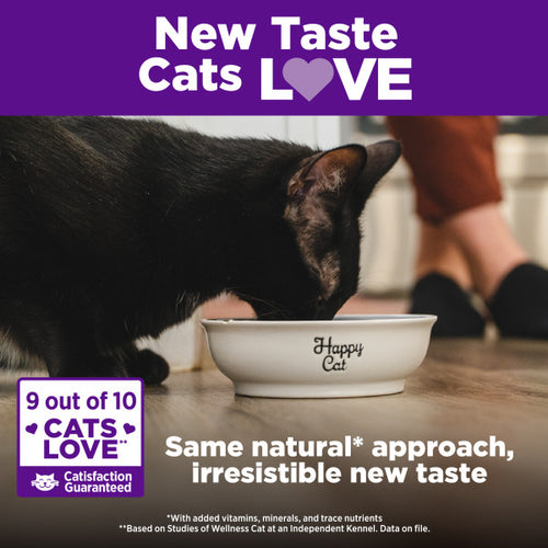 Wellness Complete Health Natural Adult Grain Free Deboned Chicken and Chicken Meal Dry Cat Food
