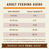 Primal Freeze-Dried Raw Nuggets Dog Food Beef Recipe