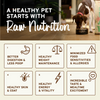 Primal Freeze-Dried Raw Nuggets Dog Food Lamb Recipe