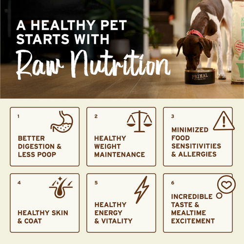 Primal Freeze-Dried Raw Nuggets Dog Food Lamb Recipe