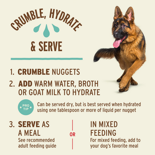 Primal Freeze-Dried Raw Nuggets Dog Food Lamb Recipe