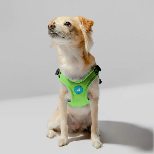 Gooby Escape Free Sport Harness