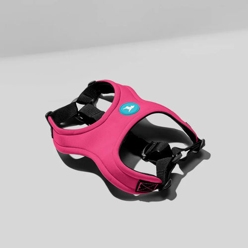 Gooby Escape Free Sport Harness