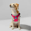 Gooby Escape Free Sport Harness