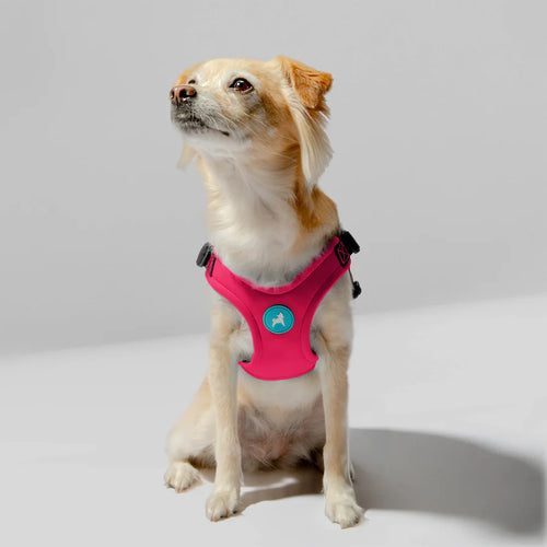 Gooby Escape Free Sport Harness