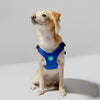 Gooby Escape Free Sport Harness