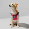 Gooby Escape Free Sport Harness